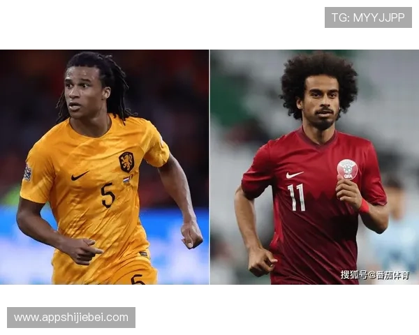 卡塔尔世界杯的举办总投资金额是多少，详细预算分析与资金来源揭秘