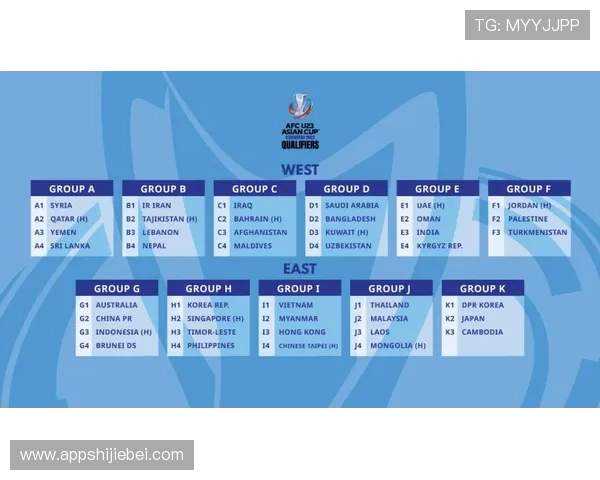 世界杯预选赛小组积分表最新排名情况全面解析帮助玩家了解各国晋级形势的详细数据分析