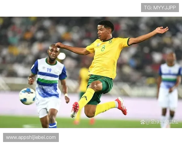 南非世界杯足球赛的历史纪录与奖杯归属情况全面介绍足球历史上的重要时刻