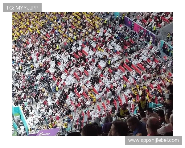 德国世界杯期间的球迷文化与现场氛围体验分享