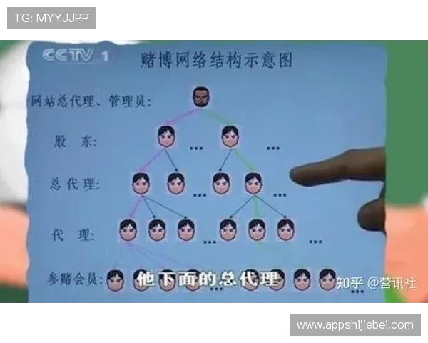 2026年世界杯新西兰对阵埃及比赛网络赌球风险分析与防范指南 2026年世界杯新西兰对阵埃及比赛网络赌球风险分析与防范指南
